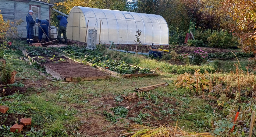 Слизни на моем огороде не зимуют: в октябре прогоняю вредителей простыми копеечными способами