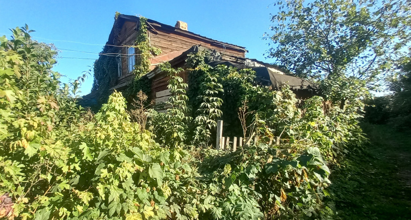 С 1 сентября в России начали действовать новые правила для владельцев земельных участков