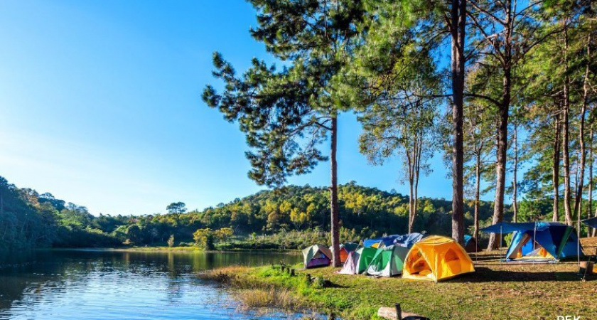 В Тамбовской области появится новый кемпинг-центр