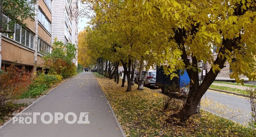 Погода в Тамбове в субботу, 18 октября