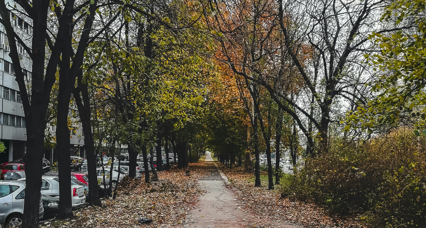 В Тамбове закончится затяжной дождь: прогноз погоды на ближайшие дни