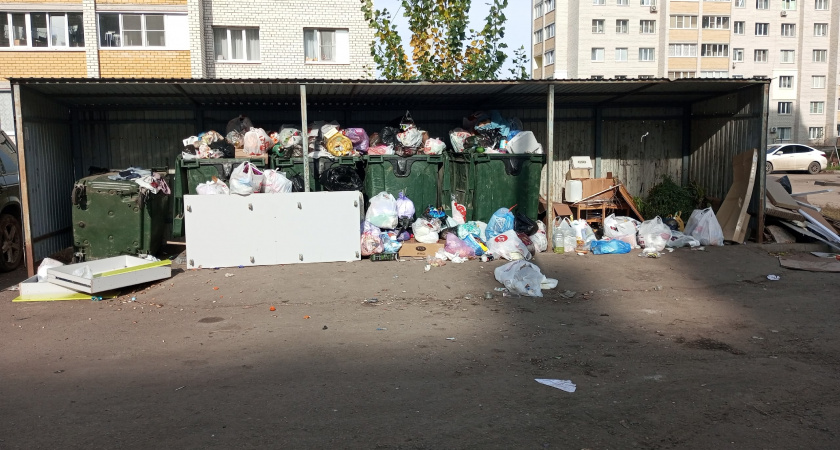 Жители Тамбовского округа требуют ответов о вывозе мусора