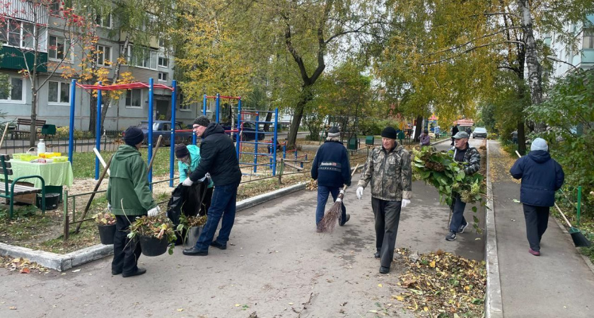 Жители нескольких улиц Тамбова провели совместные субботники и привели в порядок свои дворы