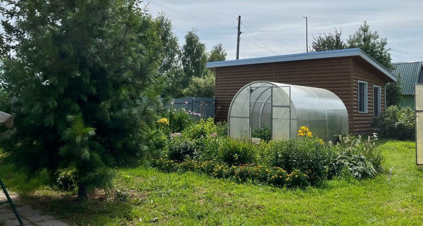 Как восстановить плодородие почвы в парнике или теплице — без полной замены земли и без навоза
