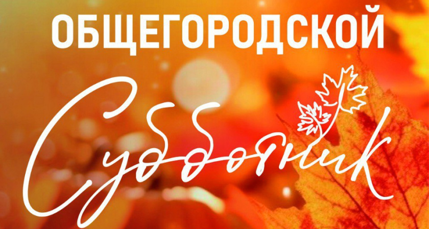 В Тамбове 24 октября пройдёт масштабный осенний субботник: горожан приглашают навести порядок перед зимой