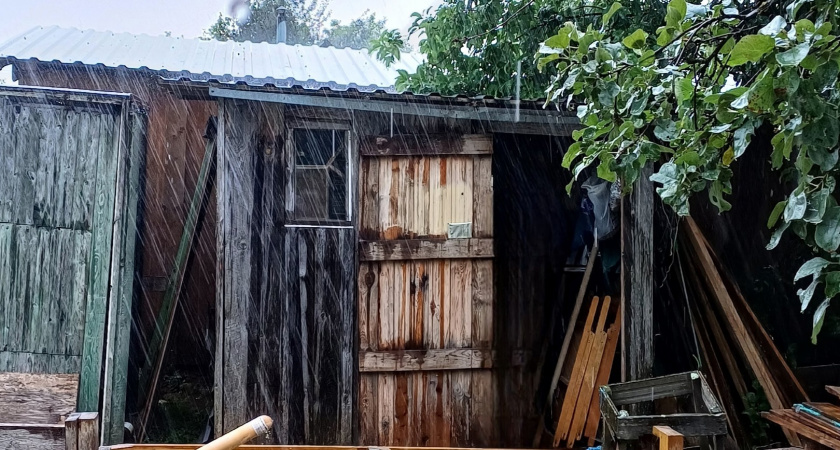 Что закинуть в дачный туалет, чтобы отходы растворялись и запаха не было: проверенный способ