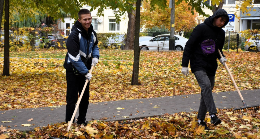 В Тамбове прошёл осенний субботник: жители очистили Пионерский парк и высадили деревья