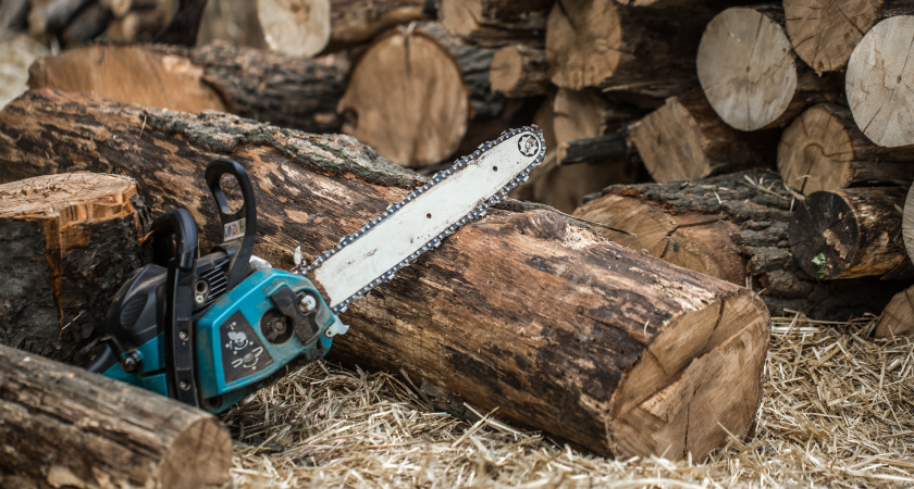 Забудьте про напильники и болгарку: как реально быстро заточить цепи — проверенный способ