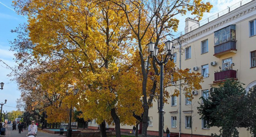 Отчет о демографии в Тамбовской области раскритиковали в соцсетях