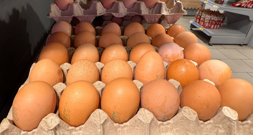 Работники птицефабрик никогда не берут себе домой яйца категории СО: причины, по которым стоит их обходить стороной
