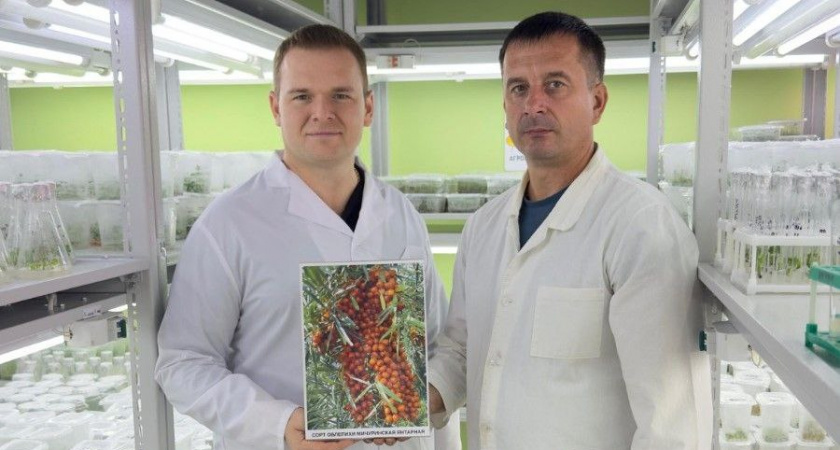 К 170-летию Мичурина в Тамбовской области вывели 23 новых сорта ягодных культур