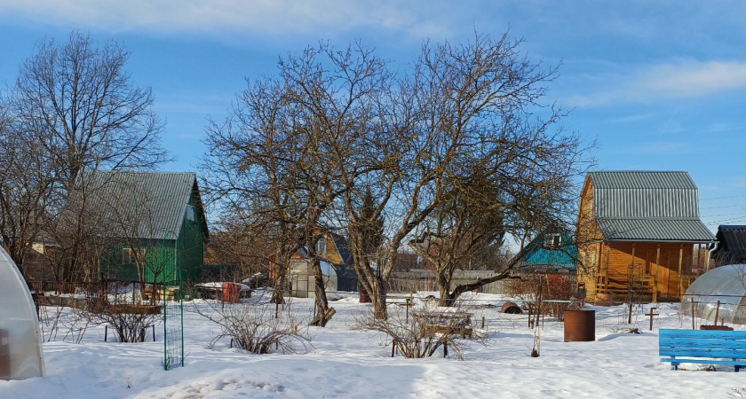 Сыпьте, пока не поздно: какое удобрение разбрасываю по снегу в ноябре для мега урожая - совет агронома