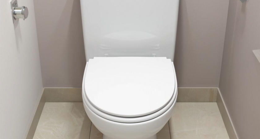 Теперь всегда опускаю крышку унитаза и вам советую: почему нельзя оставлять санфаянс открытым