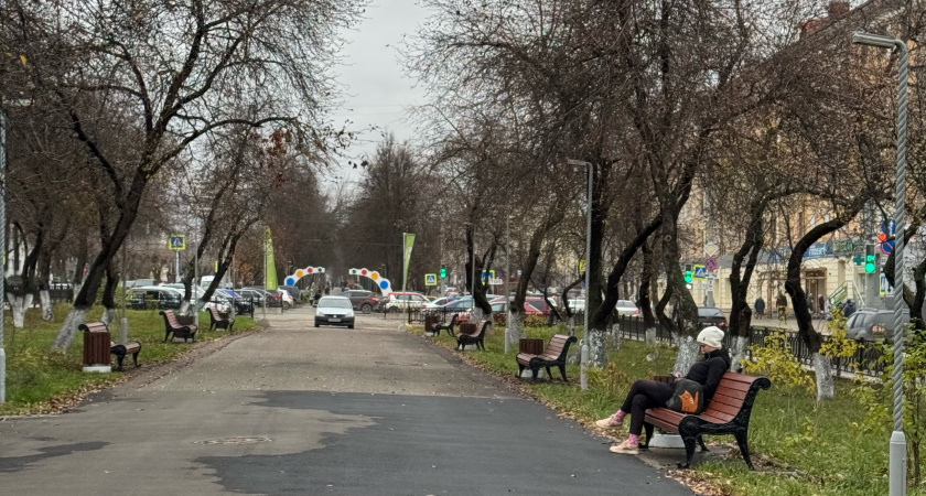 Ноябрьская аномалия: жителей Центральной России ждёт необычайно тёплая погода — детальный прогноз на последний месяц осени