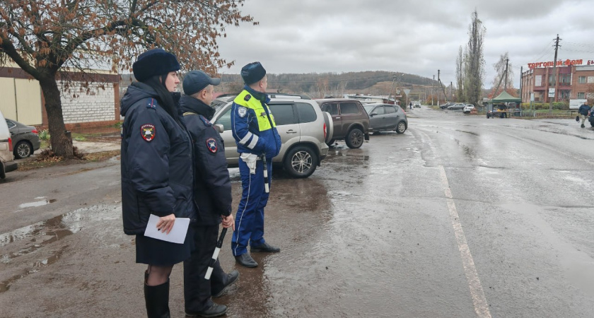 В Тамбовской области прошла акция «Пешеход-дорога»: инспекторы напомнили о безопасности на дорогах