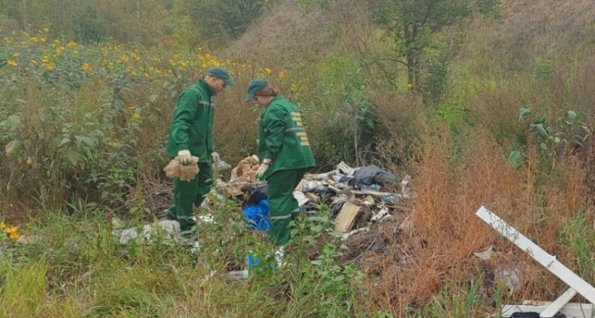 Администрацию Моршанского округа обязали выплатить более 7 миллионов рублей за загрязнение почв