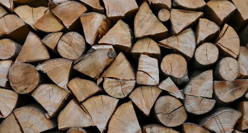 Почти пять тысяч жителей Тамбовской области купили дрова и уголь по льготным ценам