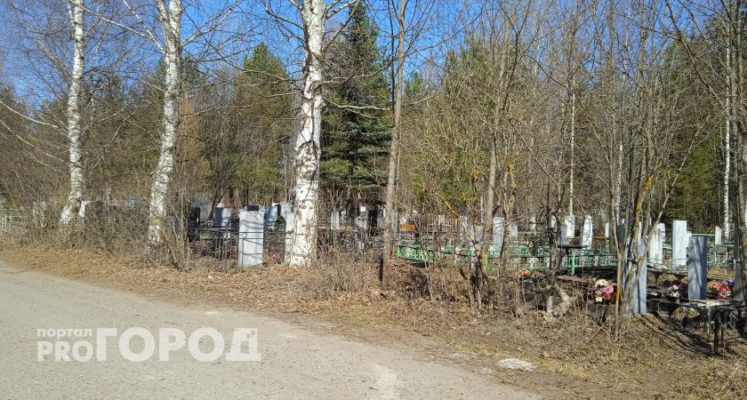 В Тамбовской области задержали 21-летнего юношу, подозреваемого в акте вандализма в часовне на территории кладбища