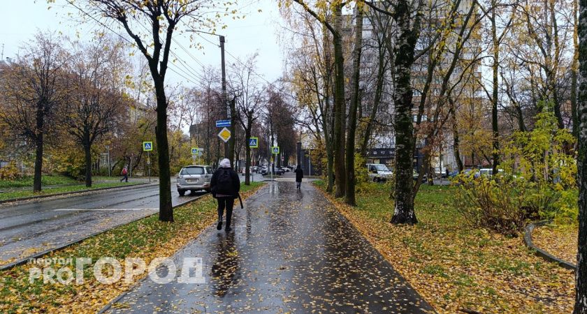 Погода в Тамбове в воскресенье, 2 ноября