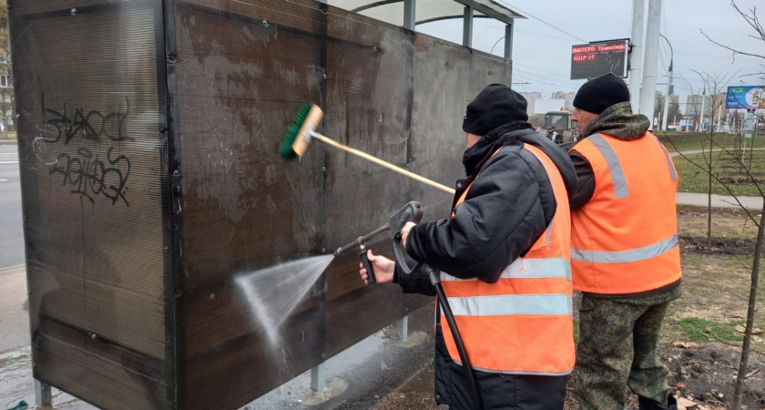 В Тамбове на улице Мичуринской прошла масштабная уборка и проверка состояния городской среды