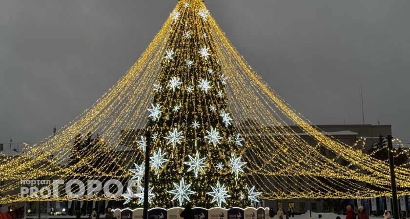 Городскую елку в Тамбове планируют установить 20 декабря