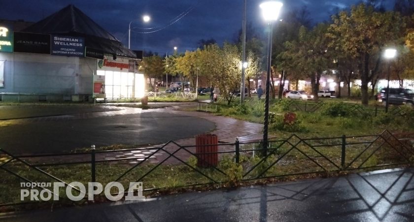 Романтик из Мичуринска повредил городской фонарь в парке