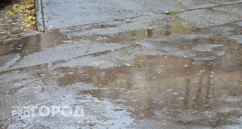 Погода в Тамбове в воскресенье,9 ноября