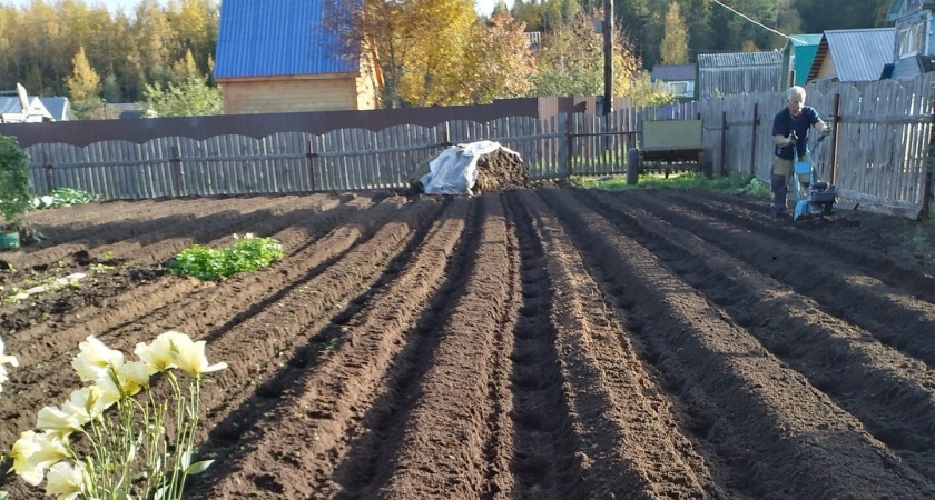 Изобретатель-самоучка из Чебоксар создал устройство, с которым в одиночку можно за час засадить картошкой 20 соток 