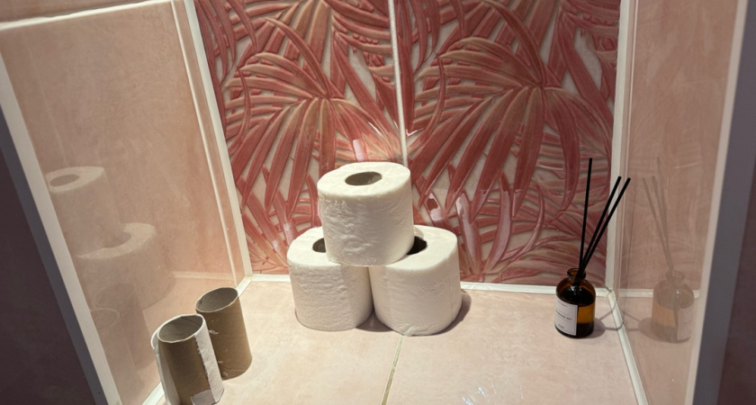 Попрощайтесь с туалетной бумагой — она пережиток прошлого: в Европе давно нашли эффективную замену, а мы только начинаем