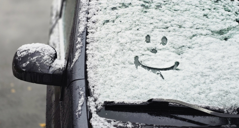 Взял один простой овощ и натер лобовое — про лед на стекле и думать забыл: езжу всю зиму и не парюсь