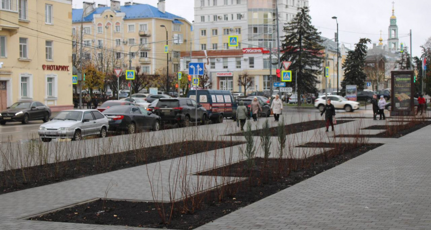 В Тамбовской области выделили 1,5 млн рублей на развитие добровольчества