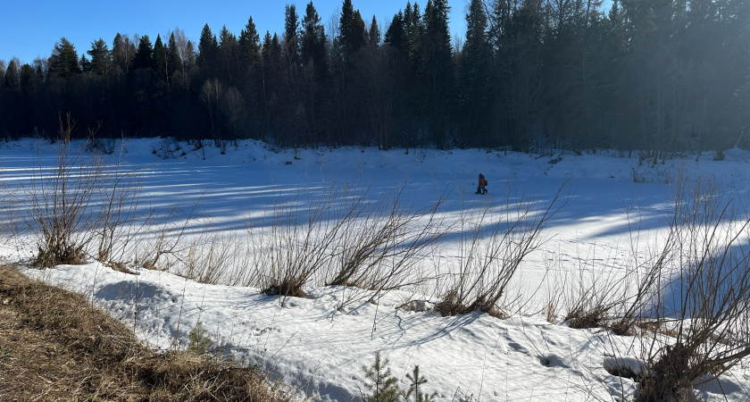На рыбалку всегда беру с собой пластиковую полторашку: клюет не переставая — рыбу домой мешками везу 