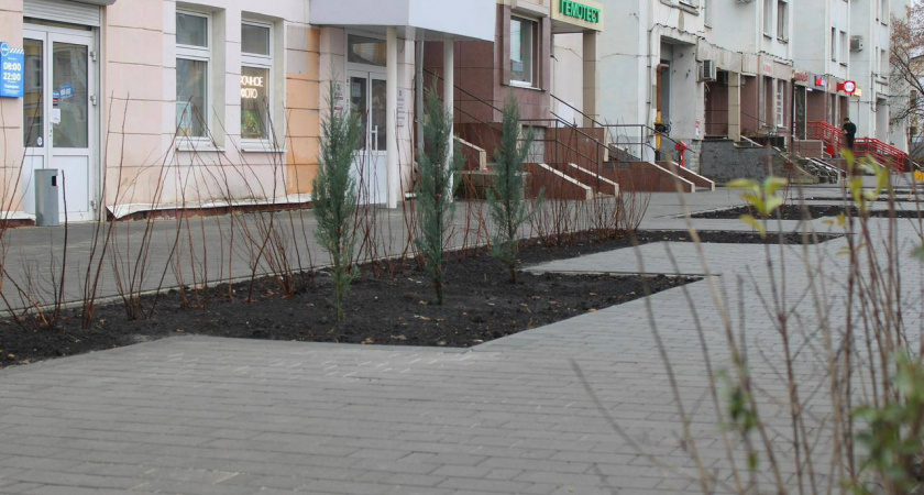 В Тамбове завершили озеленение новой зоны отдыха на улице Октябрьской