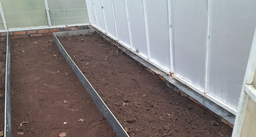 В ноябре лью в теплицу "советский коктейль" — и забываю о проблемах на год