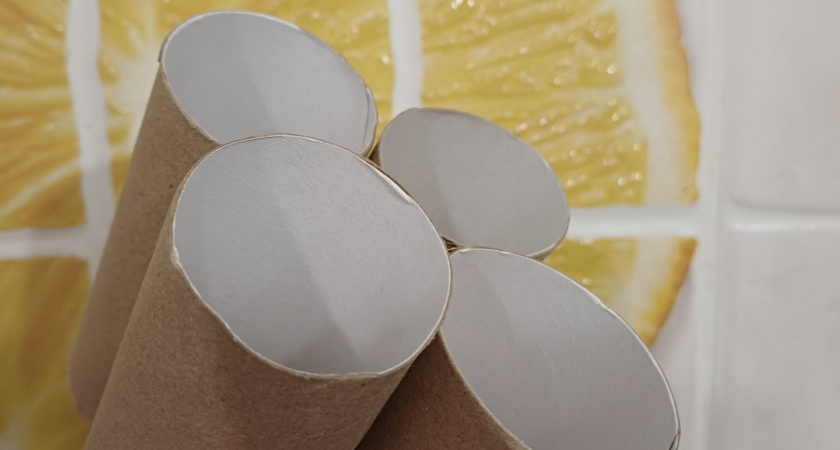 Втулки от туалетной бумаги берегу как зеницу ока: вот как использую — незаменимая вещь для решения многих проблем