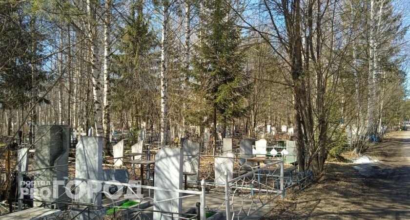 Администрация Тамбова ищут подрядчика на очистку городских кладбищ от упавших деревьев