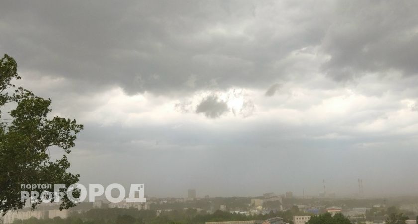 Погода в Тамбове в воскресенье, 16 ноября