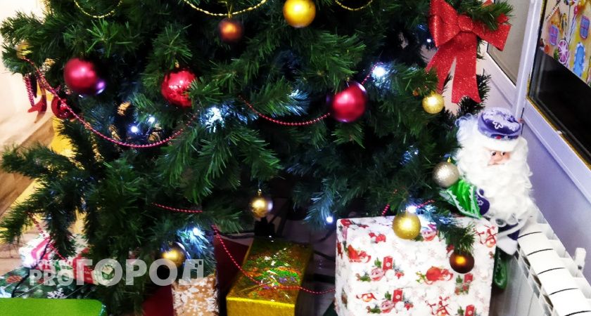 Мягкая игрушка 2500 подарков: что ждёт детей на главной ёлке Тамбовской области