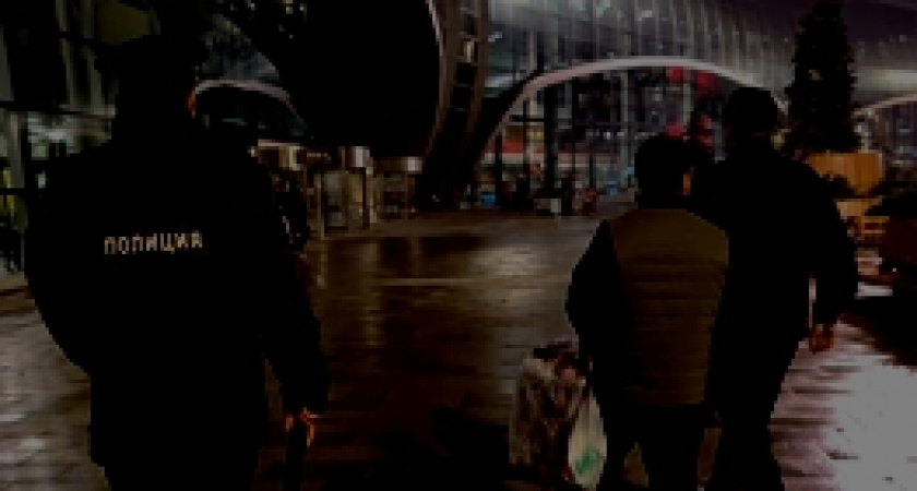 Из Тамбовской области депортировали 13 нелегальных мигрантов