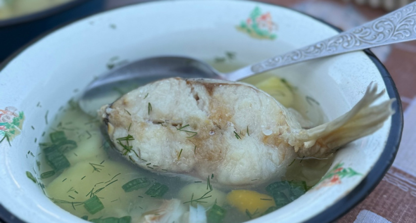 Не берите эту рыбу для ухи: только испортите вкус - придется вылить весь бульон