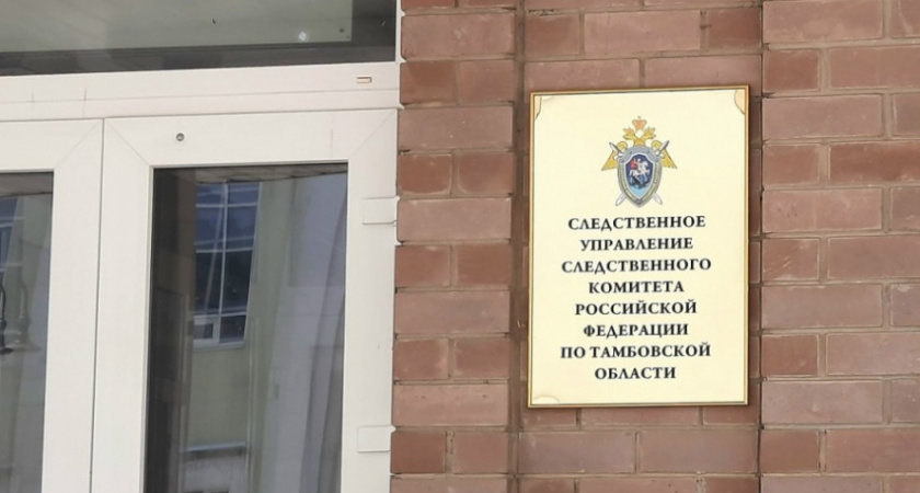 В Тамбовской области девушка пожаловалась на жестокое обращение в семье и обратилась к Бастрыкину