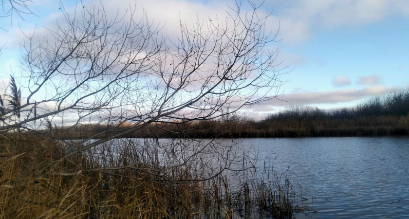 В Мучкапском округе проводится проверка после гибели мужчины при опрокидывании лодки