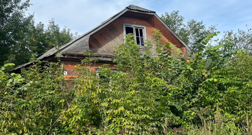 Всем владельцам частных домов — срочно: вот как будут наказывать за бани, теплицы и сорняки на участке