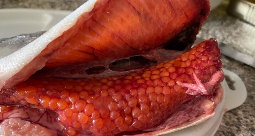 Купил форель в "Светофоре" для засолки икры: принес домой и вот что обнаружил - рассказываю всю правду