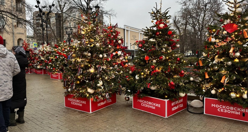 Природа готовит сюрприз на Новый год: синоптики прогнозируют аномальное тепло в зимние каникулы 2026