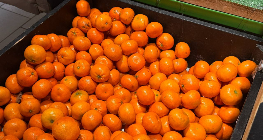 Не ведитесь на яркую кожуру: правила, по которым эксперты отличают сочные и "медовые" мандарины от пустышек