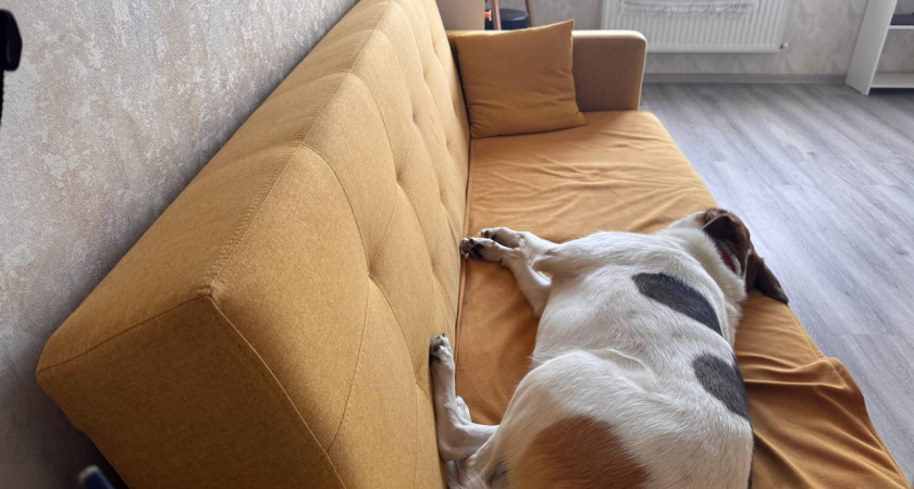 Штраф до 15 тысяч рублей за мебель – жесткая норма ЖКХ для собственников квартир, о которой мало кто слышал