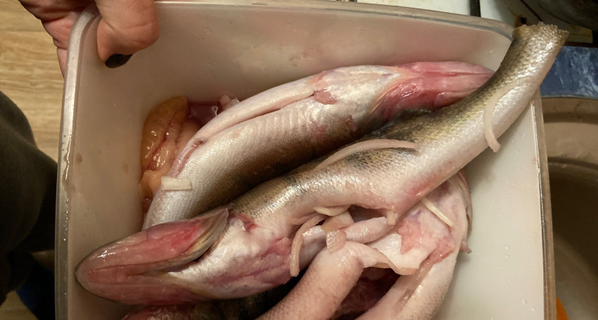 Нужно ли накрывать крышкой рыбу во время жарки - запомните раз и навсегда это простое правило