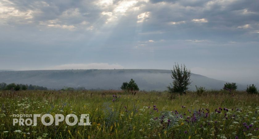 Погода в Тамбове в воскресенье, 23 ноября