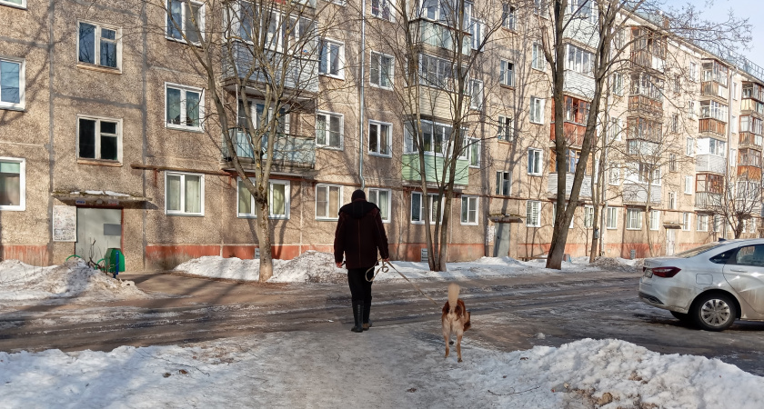 Передаются ли блохи от собаки человеку: почему риск недооценивают даже самые заботливые владельцы